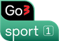 Go3 Sport 1